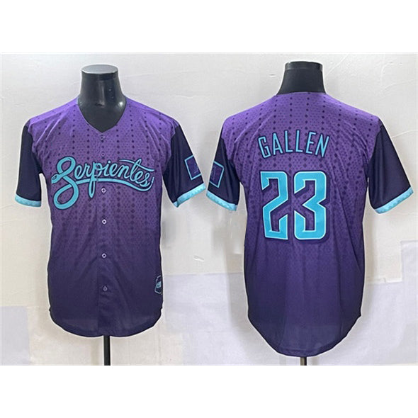 Arizona Diamondbacks #23 Zac Gallen Purple HOLBERT 2025 City Connect Limited Stitched Jersey