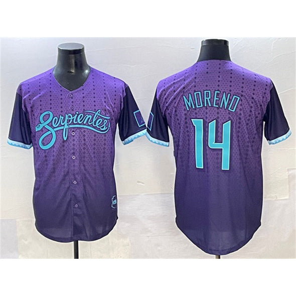 Arizona Diamondbacks #14 Gabriel Moreno Purple HOLBERT 2025 City Connect Limited Stitched Jersey