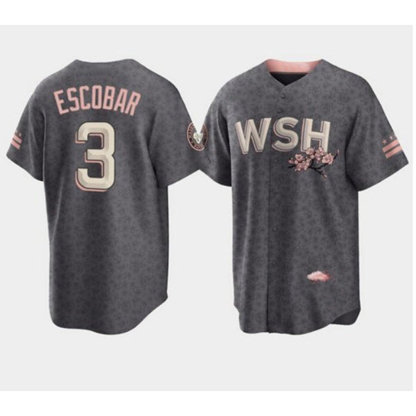 Washington Nationals #3 Alcides Escobar 2022 Grey HOLBERT City Connect Cherry Blossom Cool Base Stitched Jersey