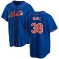 New York Mets #38 Tylor Megill Royal HOLBERT Cool Base Stitched Jersey