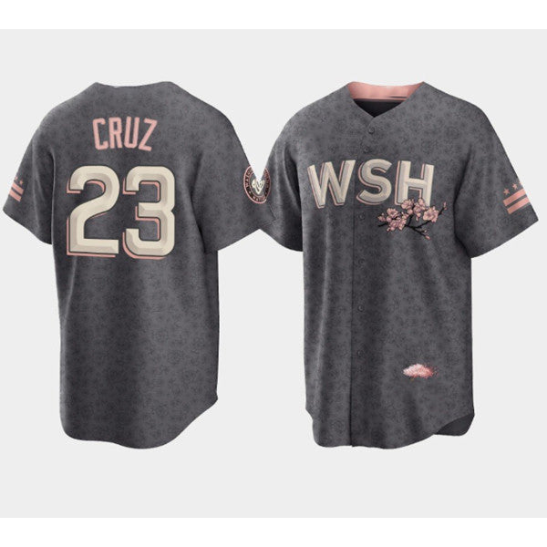 Washington Nationals #23 Nelson Cruz 2022 Grey HOLBERT City Connect Cherry Blossom Cool Base Stitched Jersey