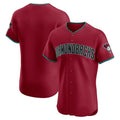 Arizona Diamondbacks Red HOLBERT Alternate 2 Elite Jersey