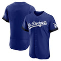 Los Angeles Dodgers Blank Player Royal HOLBERT City Connect Elite Home Stitched Jerseys